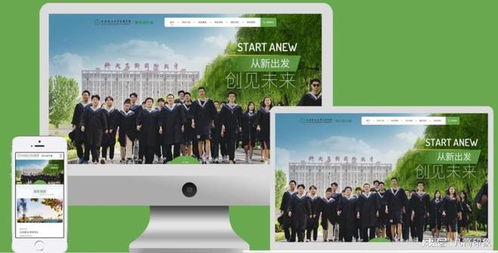 探索五家優(yōu)秀網(wǎng)站開發(fā)定制公司 打造您的在線門戶